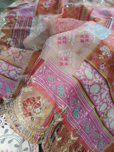 Pure Organza Work Duptta