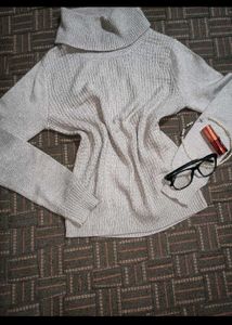 Stylish Turtleneck Sweater