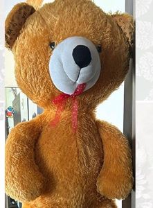 cover only avl of 4feet Tall Teddy Bear 🧸 Toy