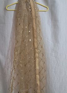 Sparkling Sequin Dupatta