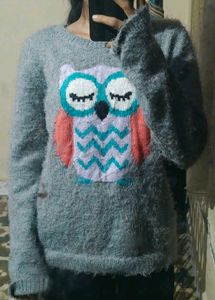 Sweatshirt Or Loose T Shirt