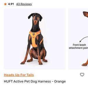 Dog Harness