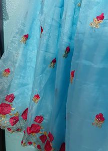 Beautiful Blue Embroidered Skirt
