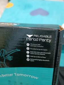 Sizi Reusable Period Panty Set Of 2