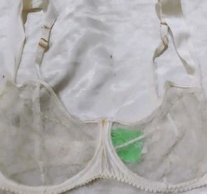 Sheer Floral Bra