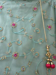 Beautiful Sky Blue Embroidered Skirt