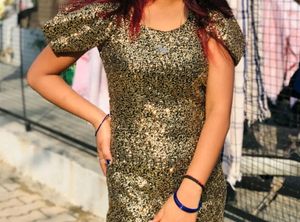 Fish Cut Dress