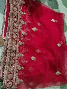 Exquisite Red Velvet Lehenga Choli