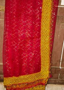 Traditional Indian dupatta Set 4