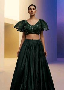 Elegant Green Lehenga Choli with Embellished Blous