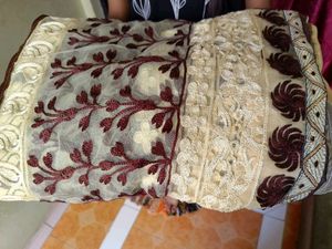 Saree Brwon Golden Color Mix Net