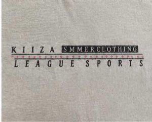 Men's Grey Graphic T-Shirt