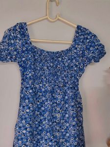 Blue Floral Print Puff Sleeve Mini Dress