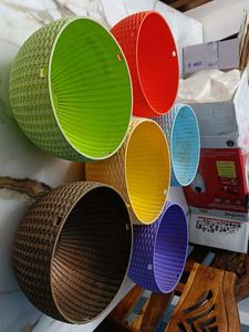 Colorful Plastic Plant Pots (Set of 5)