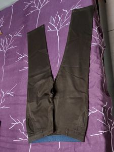 Walvis Men's Cotton Brown Pant