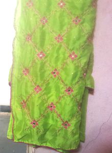 Vibrant Green Embroidered Saree
