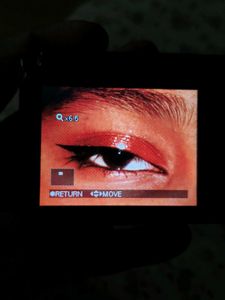 Sony Cybershot DSC W110 Camera