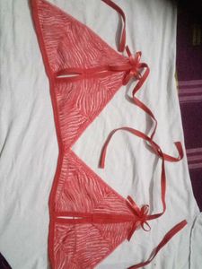 Elegant Lace panty with Bow Bra