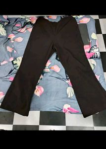 Classic Brown Flared trouser Pants