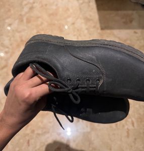Brand New Campus School Shoes