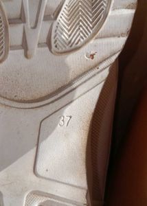 Cute Pink &amp; White Love Sneakers