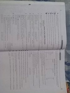 Class 10 Sample Paper Sst