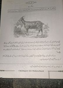 Islamic Studies Book