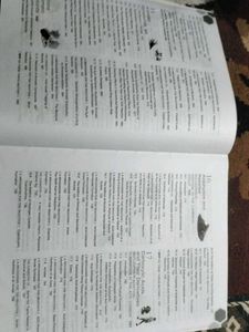 Solomons Organic Chemistry Book