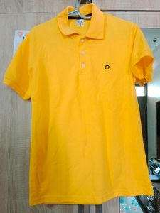 New Polo Neck Cotton Shirt for Men, Pack of 1