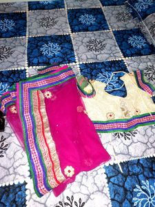 Elegant White &amp; Pink Lehenga Skirt