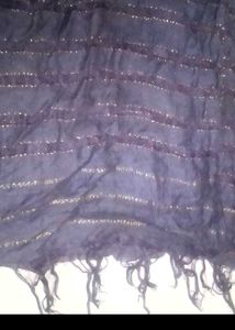 Sparkly Striped Scarf dupatta
