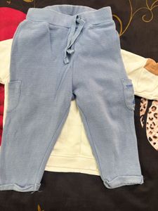 Cute Koala Print Sweatshirt/with pant set