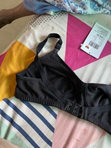 Classic Black Bra