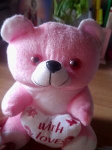 Soft Small Teddy