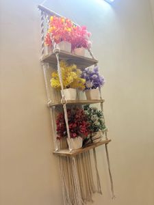 Boho Macrame Plant Shelf with plants