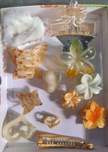 Assorted Hair Clips & Claws