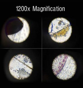 Microscope Learning for Kids