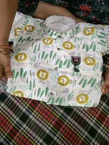 Cute Lion Print Shirt for Boys