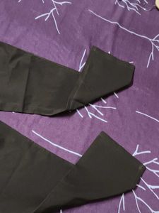 Walvis Men's Cotton Brown Pant