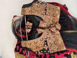 Exquisite Embroidered Lehenga
