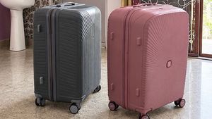 Set of 2 Stylish Luggage Bags
