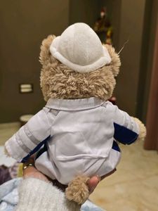Collectible Teddy Bear