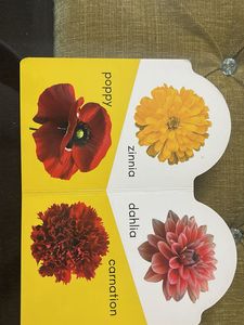 Lot of 3 Children's Books