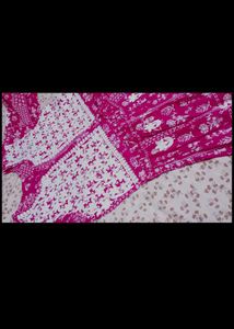 Vibrant Pink chikenkari anarkali kurti