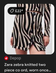 Zara Zebra Mini Skirt