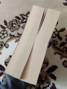 Liane Moriarty Books (2)