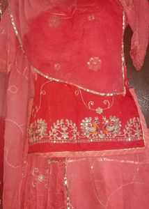 beautiful rajputi poshak