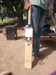 Cricket Bat