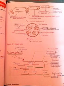Zoology Med Easy Book