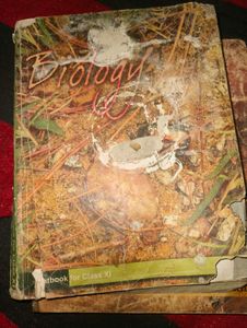 Physics And Chemistry NCERT Textbook
